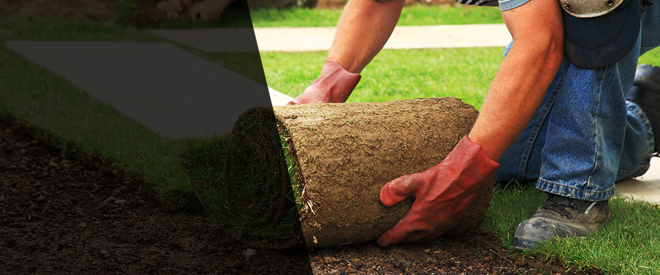 Vass Landscapers